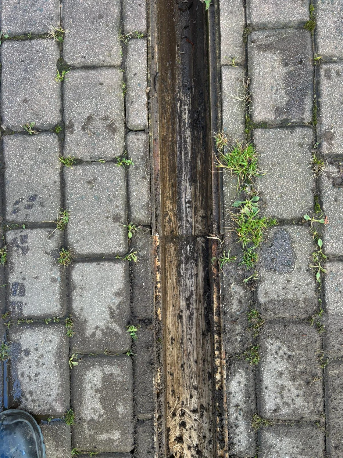 AKTIV Rohrreinigung - Reinigung ACO Rinne