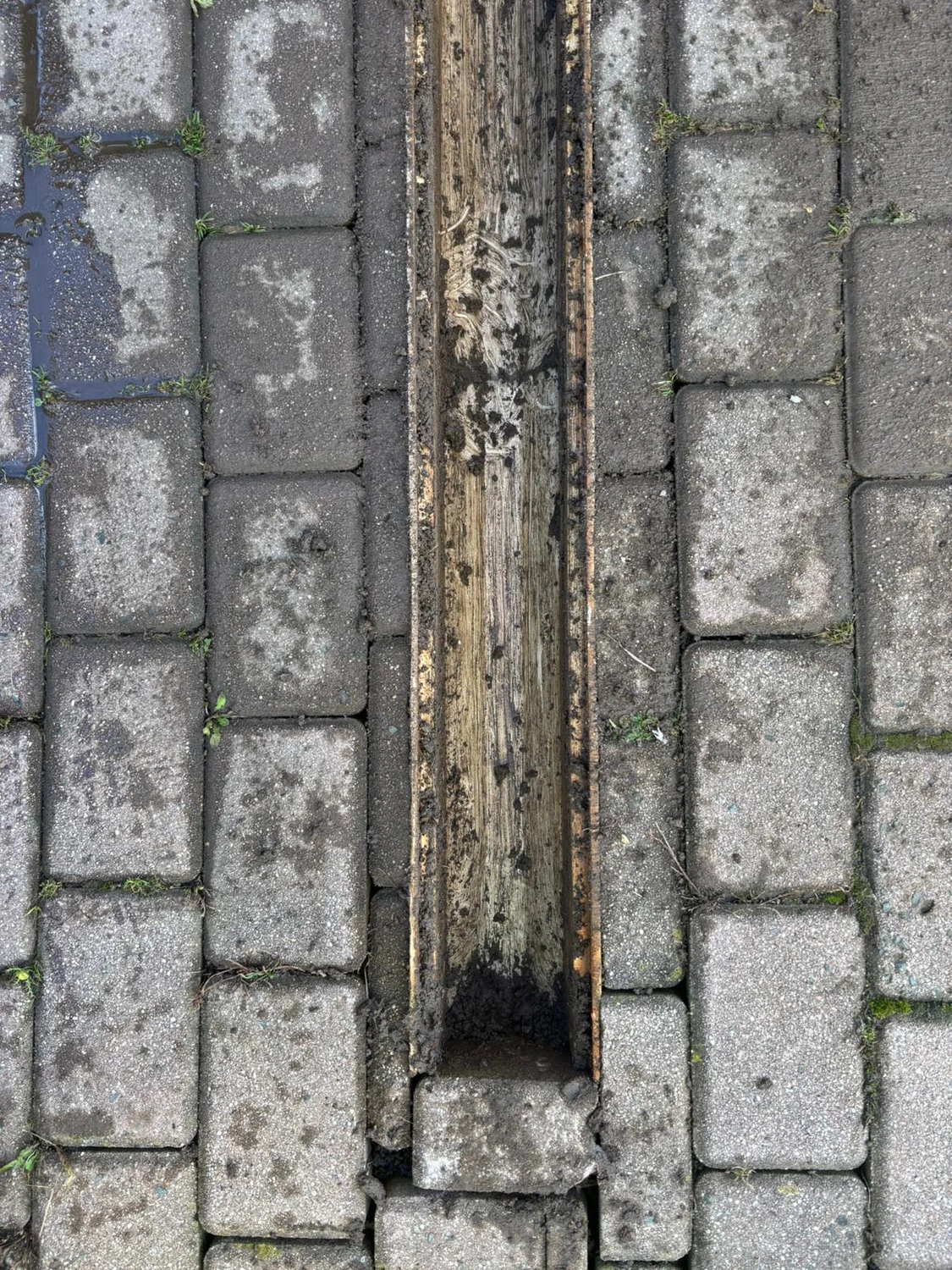 AKTIV Rohrreinigung - Reinigung ACO Rinne