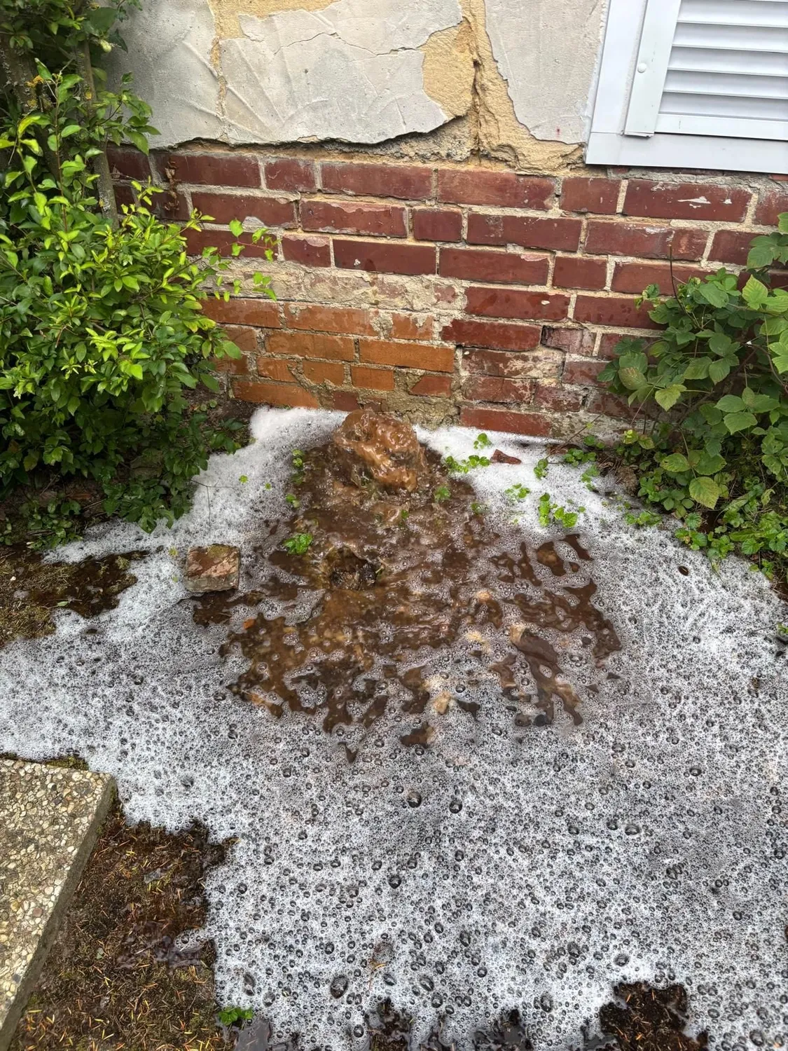 AKTIV Rohrreinigung - Wurzelentfernung