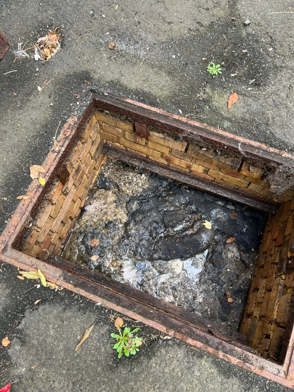 AKTIV Rohrreinigung - Rohr und Kanalreinigung